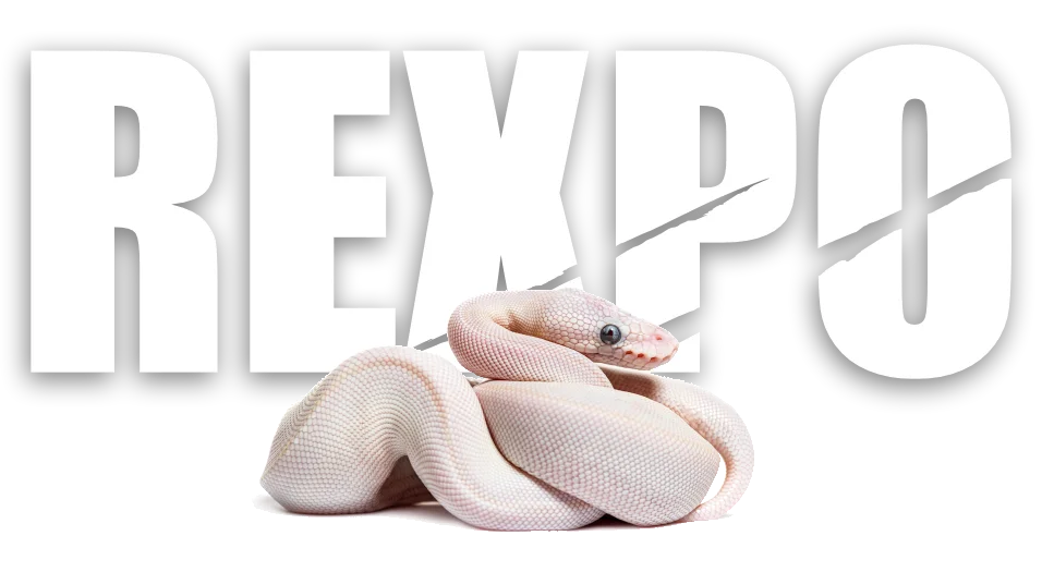 REXPO